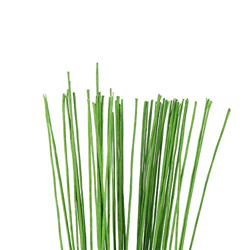 Decora 24 Gauge Green Floral Wire Green Paper-Wrapped Floral Stem Wires for Crafts 16 inch,50/Package - color: green