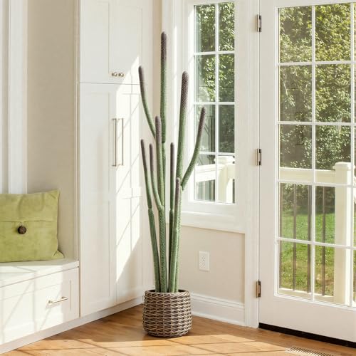 64” Artificial Cactus Plant with Brown Decorative Planter, Realistic Faux Cactus Plants Indoor, Tropical Artificial Cacti Floor Plant for Table Living Room Office Porch Home & Outdoor Decor - size: 64''