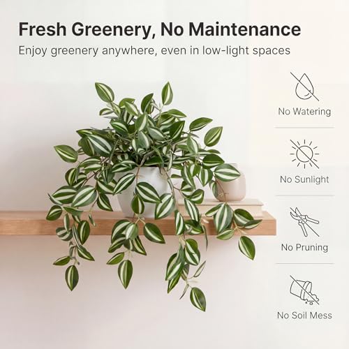 Briful Fake Plant Indoor, 17.7" Green White Faux Trailing Plant in White Plastic Pot Fake Cascading Greenery Plant for Shelf Bathroom Kitchen Office Desk Cabinet Tabletop Home Decor - color: White Stripe Green