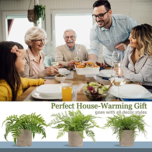 Hollyone Small Fake Plant Potted Plants Artificial Decor Silk Ferns Plant Faux Plants in Pots for Home Living Room Bedroom Desk Bathroom Window Shelf Farmhouse Decoration - color: 1 Pack - Style 3
