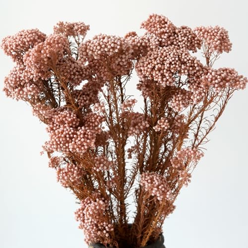 Natural Preserved Millet Flowers Dried Bouquet Flowers and Plants Arrangements for Home and Wedding Decoration (Sunglow Pink) - color: Sunglow Pink