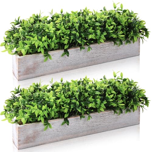 Lyrow 2 Pack 24 '' Artificial Eucalyptus Plants in Rectangular Rustic Wooden Planter Box Faux Potted Herb Plant Greenery Centerpiece for Cabinet Windowsill Table Shelf Wedding Decor (Whitewashed) - color: White, size: 24 ''