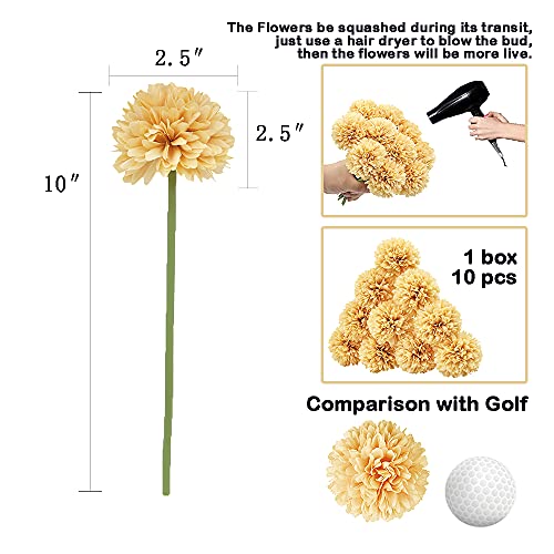 10Pcs Artificial Fake Flower Plants Silk Chrysanthemum Ball Hydrangea Arrangements Wedding Bouquets Decor Home Kitchen Garden Party Table Floral Centerpieces DIY (Beige) - color: Beige