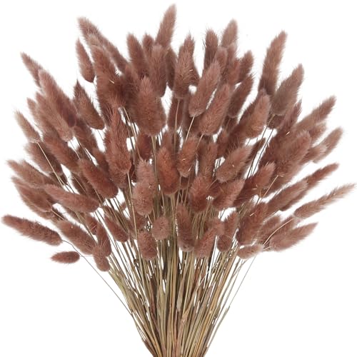 CISDUEO 120pcs Dried Bunny Tails Flowers Lagurus Ovatus Tail Dried Flowers Pampas Grass Red Brown Natural Dried Floral Arrangement for Boho Decor Home Wedding DIY Farmhouse Table Christmas - color: Red Brown