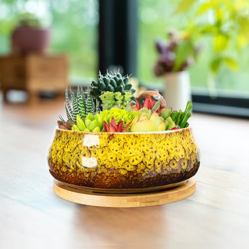 ARTKETTY Succulent Pots - 8 Inch Plant Pot, Large Bonsai Pots with Drainage Tray, Ceramic Planters for Indoor Outdoor Plants, Round Shallow Cactus Flower Plant Container Bowl Decorative Home Garden - color: Yellow