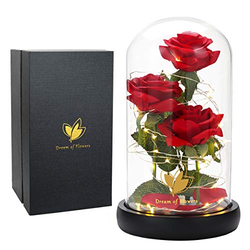 Dream of Flowers Gifts for Mom Mothers Day Birthday Gifts for Women,Beauty and The Beast Rose in Glass Dome,Anniversary Rose Gifts for Wife,Romantic Red Silk Rose Flower Gifts for Women - color: Classic Red
