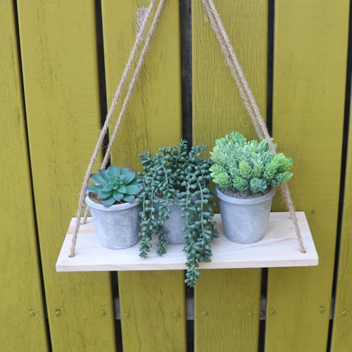 COTSEN 3 Pcs Artificial Succulents Potted Plants Assorted Fake Succulents Potted for Family Office Garden Interior Decor