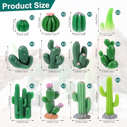 36 Pcs Mini Resin Cactus, Miniature Resin Cactus Figurines 12 Styles Cute Small Artificial Green Cactus Succulent Plants for Garden Flower Pot Bonsai Tiny Micro Landscape Decors