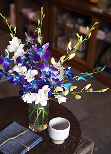 Blooms2Door-10 Blue&White Orchid Flowers for Valentine, Mother's Day