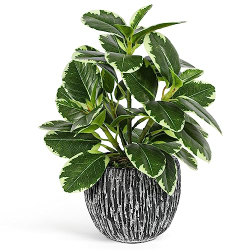 Artificial Plants Indoor Outdoor, Faux Variegated Oak Leaf Plant, Fake Potted Plants Artificial Decor for Coffee Table Desk Shelf, Faux Plants Indoor for Living Room Bathroom Bedroom Entryway Office - color: Green#02