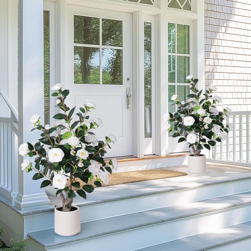 Yepdin 2 pcs Pack Artificial Camellia Tree with White Planter - 39 inch Tall Fake Tree,3.2 Ft Artificial Plants Indoor & Outdoor Housewarming Gift - color: 2pcs White Camellia Tree, size: 3ft 3in