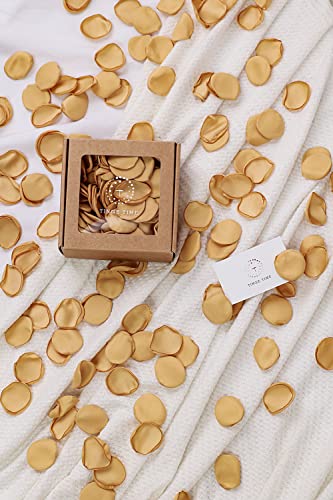 TINGE TIME 200pcs Silk Rose Petals Champagne Gold Flower Petals for Wedding, Flower Girl Basket, Aisle Runner, Romantic Dinner Centerpieces, Proposal, Party Confetti - color: Champagne
