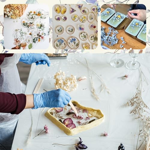 TooGet Mini Dried Flowers 9 Bags Natural Real Small Dry Flower Leaves for Crafts Colorful Mixed Color Dry Wildflowers Plants for DIY Art Candle Resin, Jewelry Crafts, Weeding Home Decorations