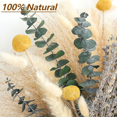 Dried Pampas Grass Bouquet – Boho Pampas Grass Decor for Home, Vase Fillers & Wedding — Natural Dried Flowers, Tall Pampas Grass for Floor Vase, Coastal, Scandinavian & Boho Room Decor (No Vase)