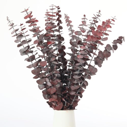 Tavkite 16 Pcs Dried Eucalyptus Stems, 17'' Natural Fresh Eucalyptus Leaves Branches Hanging for Shower, Preserved Real Red Plant Live Greenery for Home SPA Wall Bathroom Wedding Party Vase Decor - color: Red