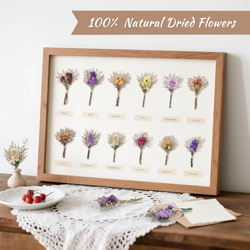 12/24 PCS Charming Dried Flowers Bouquet for Vase Various Dried Wildflowers with Stems Mini Handmade Wildflowers Natural Real Flowers Bulk Flowers Craft (Forget Me Not, 12 PCS) - color: Forget Me Not