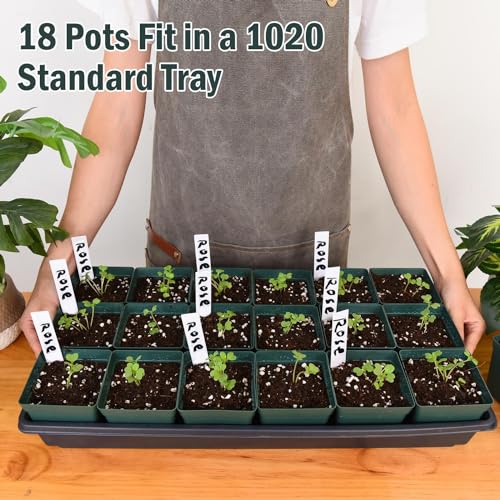 June Fox 100 Pack Green Square Nursery Pots with Drainage Holes 3.3 Inches Flexible Plastic Seedling Pots Square Pots for Plants, Succulent, Flower, with Plant Labels - color: Green