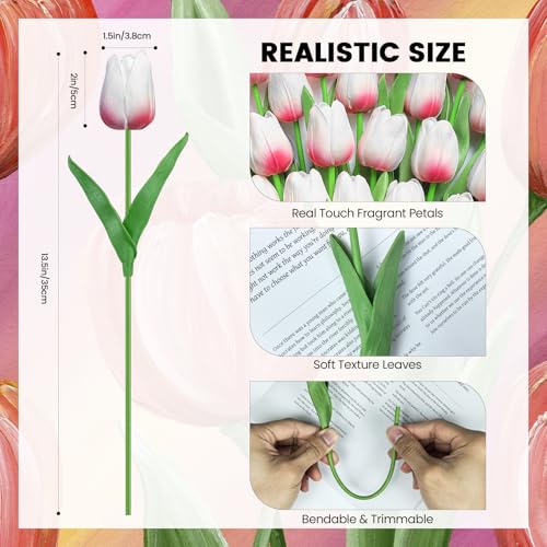 30 PCS Artificial Tulips Real Touch Tulips 13.5inch Long Stem Fake Flowers Silk Flowers for Spring Easter Mother's Day Decorations (White×Pink) - color: White×pink