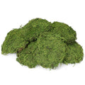 Solsew 6 Pcs Artificial Fake Green Moss for Potted Plant Indoor Waterproof Decorative Faux Moss Decor for DIY Crafts Garden Wedding Party Decoration(Stylish) - style: Stylish