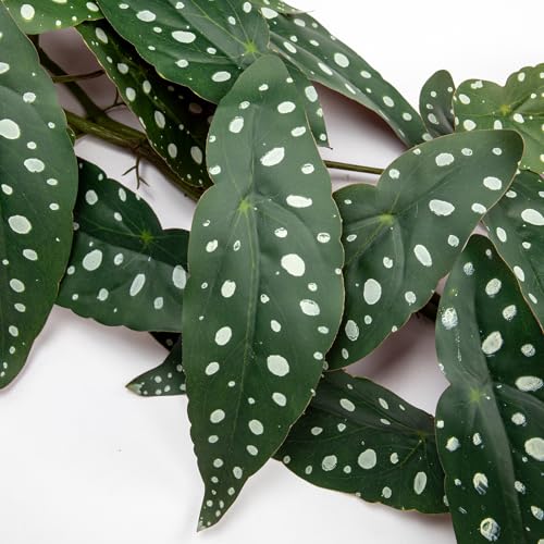 2Pcs Artificial Begonia Leaves Vines 4ft Fake Hanging Plant Ivy Vines Greenery Garland Faux Tropical Vine Decor for Wall Jungle Luau Beach Birthday Party Indoor Outdoor Home Décor - color: Begonia