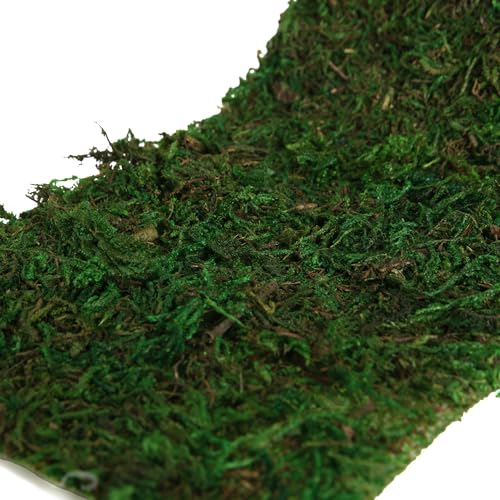 USMOLA Moss Roll, Dried Moss for Crafts, Moss Table Runner for Fairy Gardens, Wedding Woodland Decor, Preserved Moss Mat for Table Decoration (4" W x 48" L) - color: 4" W X 48" L