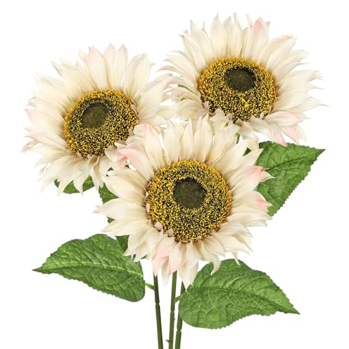 Large Sunflowers Artificial Flowers 8" Full Bloom Long Stem Artificial Sunflower 33" Tall Sun Flowers Giant Silk Sunflowers with Stem Fake Sunflower Floral Arrangement for Home Wedding Decoration - color: Cream White