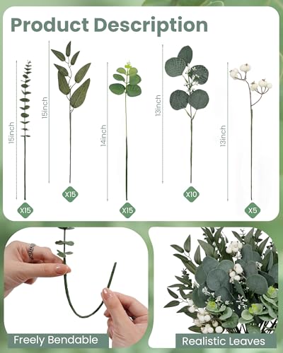 60 Pcs Mixed Artificial Eucalyptus Leaves Stems Bulk, 5Kinds Fake Greenery Silver Dollar Leaves Dried Eucalyptus Bundle with White Seeds Berry for DIY Bouquets Floral Arrangement Wedding Vase