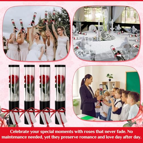 Norme 20 Sets Mother Day Artificial Rose Flowers with Single Cone Boxes, Realistic Touch Velvet Fake Rose Wrapping Bag Bouquet Packaging Sleeves for Teacher Gifts DIY Gift Supplies