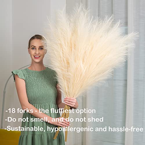 Faux Pampas Grass 6 Stems, Artificial Pampas Grass - 43 inch Total Extra Large Pompass Grass Tall Pompous Boho Flower Arrangement and Floor Vase Filler Home Decor for Room Wedding Party - color: Beige