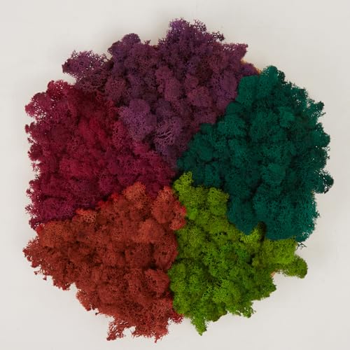 Preserved Reindeer Moss Natural Green DIY Kit Gardenning Art Wall Decor Florist Decor Easter Table Decor Wedding - color: Style-2, size: 1 lb