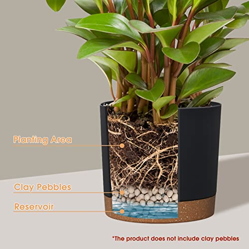 kubvici Plant Pots for Indoor Plants, 2 Pack 8 Inch Plastic Flower Pot Planters with Drainage Saucer for Indoor Outdoor Garden Home (8” Black) - color: Black, size: 8 inch