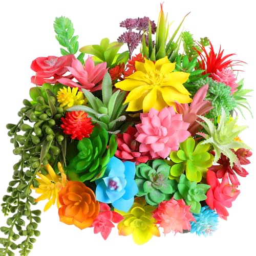 WILLBOND 50 Pcs 50 Pcs Bulk Mini Artificial Succulents Plants Assorted Unpotted Realistic Plants Fake Textured Succulent Picks Realistic Plastic Cactus Stems for Garden Home Decor (Lovely Style) - color: Lovely Style