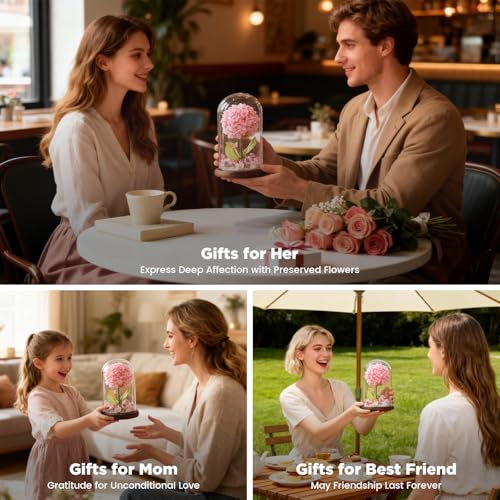 Forever Hydrangeas in Glass Dome,Forever Preserved Flowers Gifts Mothers Day Birthday for Grandma Women Mom Wife,Fresh Flowers for Delivery/Pink Hydrangea - color: Pink