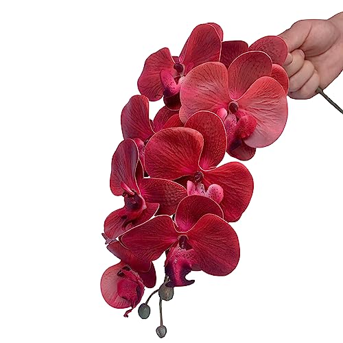 FagusHome 32 Inch Artificial Phalaenopsis Flowers 6 Pcs Artificial Orchid Flowers Stem Plants for Home Décor (Red) - color: Red