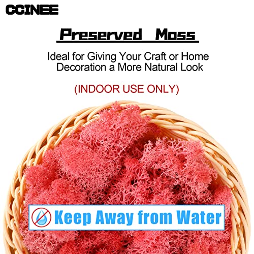 CCINEE Moss Preserved, 4 OZ Fake Reindeer Moss for Potted Plants for Craft Arts Floral Wall Decor Wedding Centerpieces Fairy Garden Artificial Terrariums Decoration for Christmas(Pink) - color: Pink