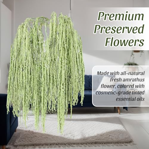 Suncalla 12 Pcs 24 Inch Light Green Dried Amaranthus Hanging Flowers Amaranthus Artificial Flowers for Wedding Arch Bouquet Floral Garland Wall Home Decoration - color: Light Green