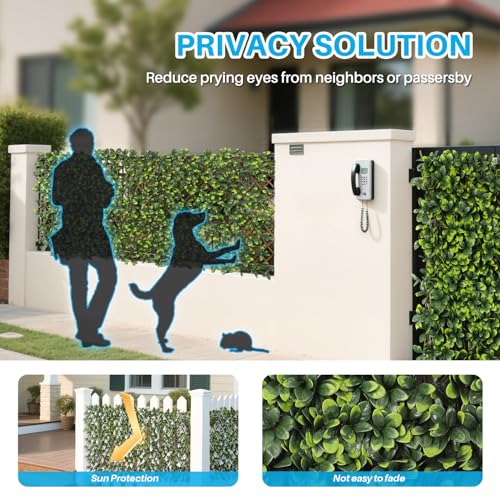 Patio Paradise 1PC Artificial Ivy Expandable Privacy Fence Screen Faux Greenery Wall Green Vines Leaf Hedge Outdoor Lattice Panels Covering for Apartment Balcony Deck Porch Backyard, Single-Side - color: Ficus Leaves