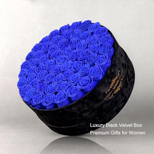 Gifts for Women – NATROSES 60 Preserved Roses in Luxury Black Velvet Box, Preserved Flowers for Delivery Gift for Her, Elegant Rose for Birthday, Mother’s Day, Christmas (Royal Blue) - color: Royal Blue, size: 60 Roses