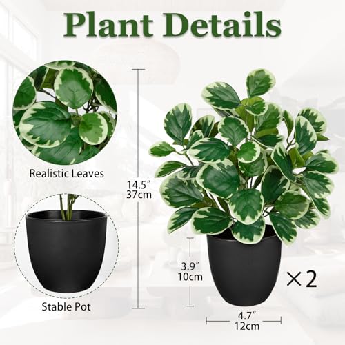 Sets of 2 Artificial Plants Indoor Home Decor, 14.5" Fake Potted Silk Plants for Shelves Living Room Decor, Small Artificial Office Desk Plant in Pots, Faux Peperomia Hope Tropical House Plant - color: 2 Sets #Funny White Margin