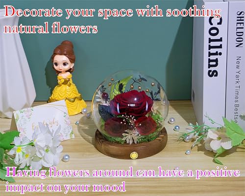 Valley of Rain & Forest Long-Lasting Real Flowers, Unique Floral Gift for You to Send Love for All Occasions, for Indoor Decoration (Dark Red Rose Arrangement) - color: Dark Red Rose