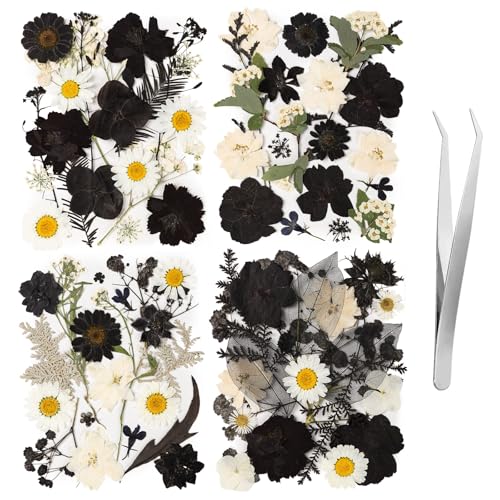 78 Pcs Black and White Dried Pressed Flowers with Tweezer, Halloween Themed Real Dried Flowers Leaves for DIY Crafts Resin Molds, Dried Flowers for Autumn Halloween Decorations - size: Black