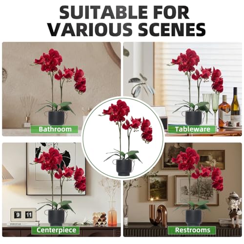 CXGS Orchids Artificial Flowers Real Touch Fake Flowers in Ceramic Pot 20" Red Faux Orchid Plant Lifelike Silk Phalaenopsis for Centerpiece Hotel Home Indoor Decor - color: Red- Black Vase