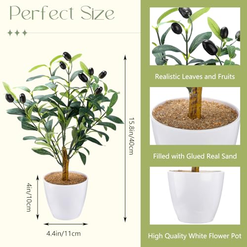 Giegxin 2 Pack 15.8 Inch Small Artificial Olive Tree Indoor 40cm Faux Olive Plant with White Pot for Home Office Room Table Modern Decor - color: White