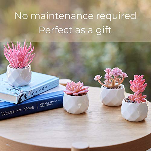 Nordik Set of 4 Desk Plants - Office Decor for Women Desk, Indoor, Living Room, Bedroom, Home and Desk Decor – Pink Faux Succulents in white Geometric Ceramic Planters - color: Ceramic White