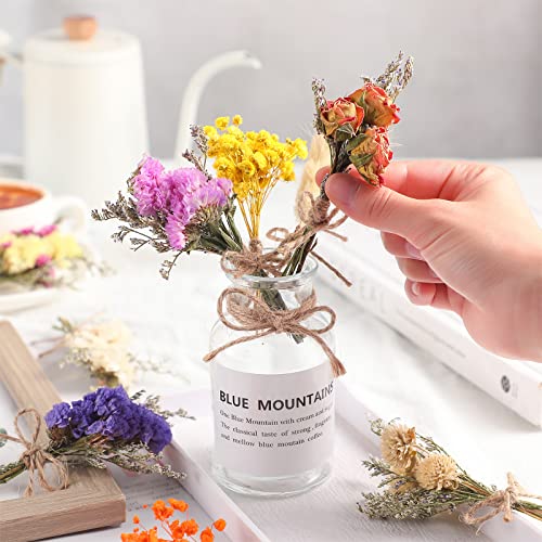 10 Pcs Mini Dried Flowers Bouquet Natural Gypsophila Don't Forget Me Dried Flowers Bouquet Plant Stem Bunch for DIY Craft Card Photo Props Vase Wedding Decor(Colorful)