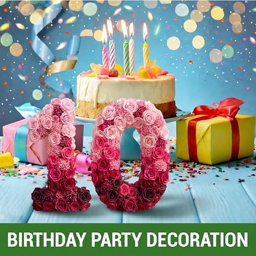 Leinuosen 12 Inch Dry and Wet Floral Foam Numbers Blocks Green Foam Blocks for Fresh and Artificial Flowers for Weddings Birthday Flower Arrangement Craft Project Garden Decoration(Number 9) - style: Number 9
