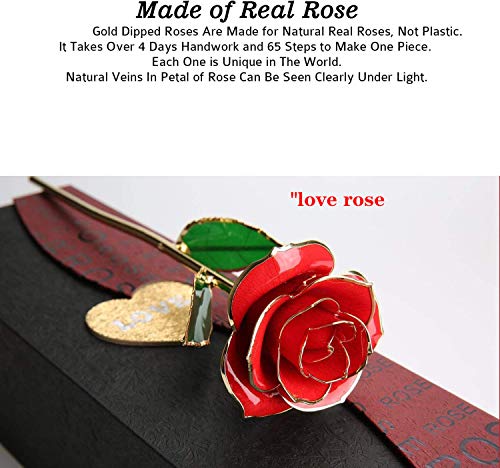 Gold Rose 24K Plated Gold Dipped Rose, Forever Preserved Red Rose Flowers with Stand,Romantic Gift for Valentine's Day and Mothers Day, Anniversary, Birthday,Gifts for Her,Wife,Girlfriend - color: Red（with Stand）