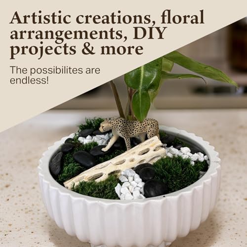 Preserved Mood Moss - Premium Decorative Moss for Crafts, Home Décor, Art, Design & DIY Projects - Real Moss- Non-Toxic - USA-Made- Natural Green, Medium 2-Pack - color: Mood Moss, size: Medium (2-Pack)