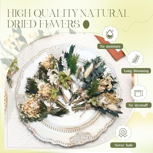 Layhit 12 Pcs Boho Dried Flower Bouquet Mini Wedding Handmade Dry Flowers Decor for Vase Crafts DIY Photo Boutonniere for Men Floral Plant for Bridesmaid Gift Birthday Decor(Fresh) - style: Eucalyptus