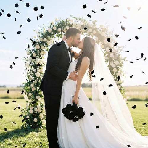 Anwyll 3000Pcs Black Rose Petals - Artificial Faux Flowers Fake Rose Petals for Wedding Proposal Engagement Romantic Night Anniversary Valentine's Galentine's Day Decoration Home Room Party Decor - color: Black
